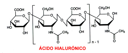 composición del ácido hialurónico
