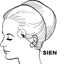 sien